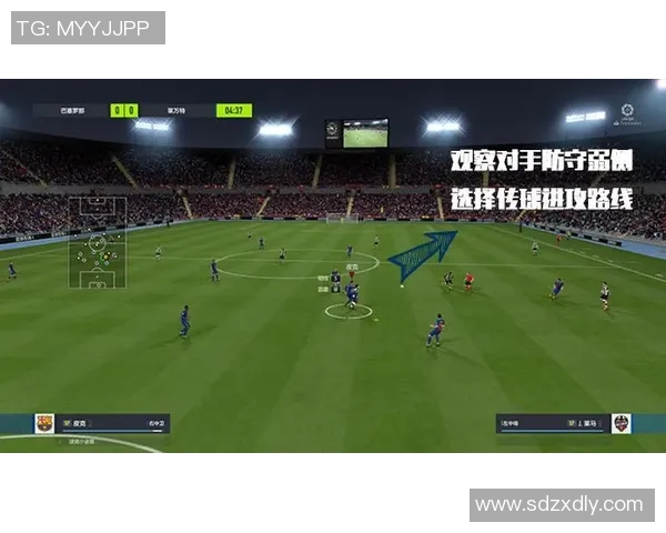 运动最新数据上海排球队边路渗透战术解析与应用研究